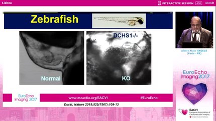 Presentation thumbnail