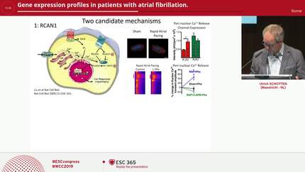 Presentation thumbnail