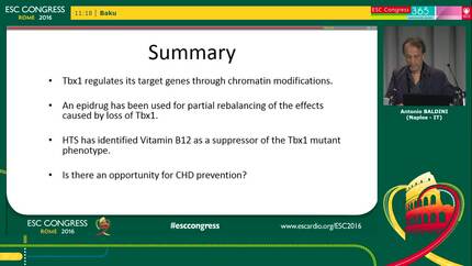 Chromatin regulation in DiGeorge syndrome