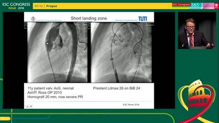 Presentation thumbnail