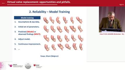 Virtual valve replacement: opportunities and pitfalls.