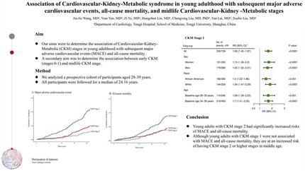 Association of Cardiovascular-Kidney-Metabolic syndrome in young adulthood with subsequent major adverse cardiovascular events, all-cause mortality, and midlife Cardiovascular-Kidney -Metabolic stages