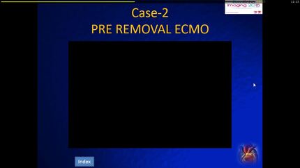 Presentation thumbnail