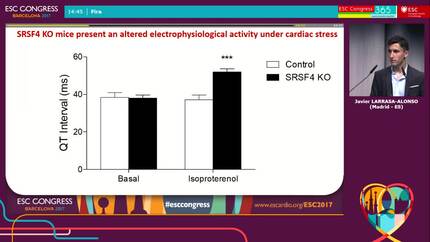 Loss of SRSF4 in cardiomyocytes induces hypertrophy, diastolic dysfunction and risk of sudden death