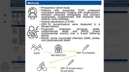 Diagnostic and prognostic value of growth differentiation factor 15 in suspected functionally relevant coronary artery disease