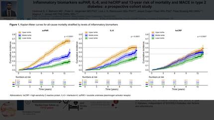 Inflammatory biomarkers suPAR, IL-6, and hsCRP and 13-year risk of mortality and MACE in type 2 diabetes: a prospective cohort study