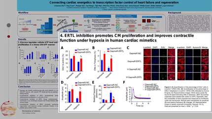 Presentation thumbnail