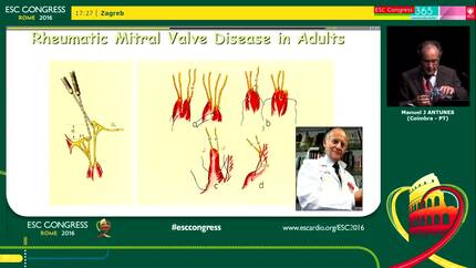 Presentation thumbnail