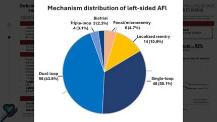 Outcomes of atypical flutter ablation exclusively guided by systematic analysis of high-resolution maps (no entrainment maneuvers)