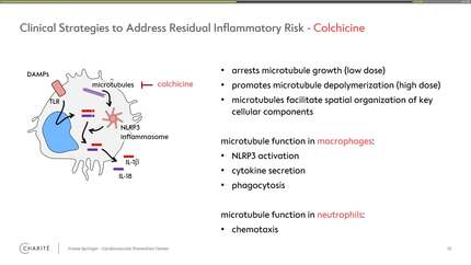 Presentation thumbnail