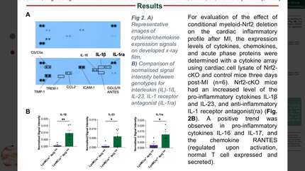Presentation thumbnail