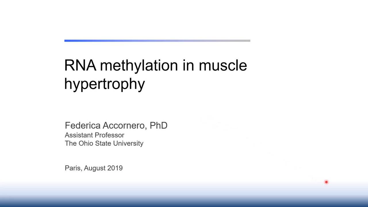 RNA methylation in the regulation of cardiac hypertrophy