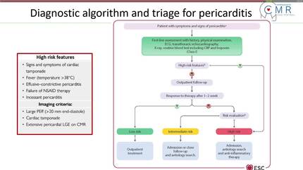 Presentation thumbnail
