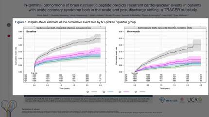 Presentation thumbnail