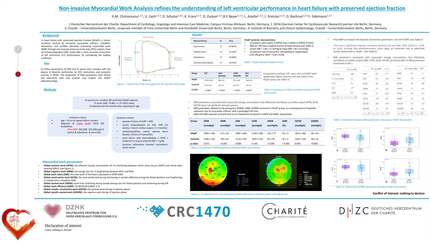 Non-invasive myocardial work analysis refines the understanding of left ventricular performance in heart failure with preserved ejection fraction 