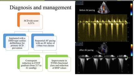 Presentation thumbnail