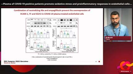 Plasma of COVID-19 positive patients promote oxidative stress and proinflammatory responses in endothelial cells: Potential role of the pro-inflammatory cytokines/SGLT2 pathway.