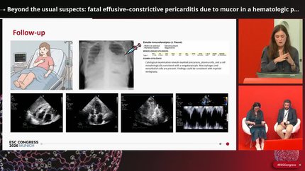 Presentation thumbnail