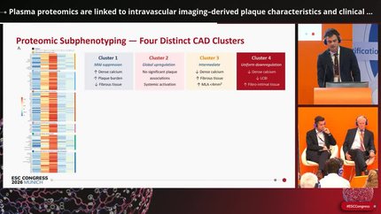 Presentation thumbnail