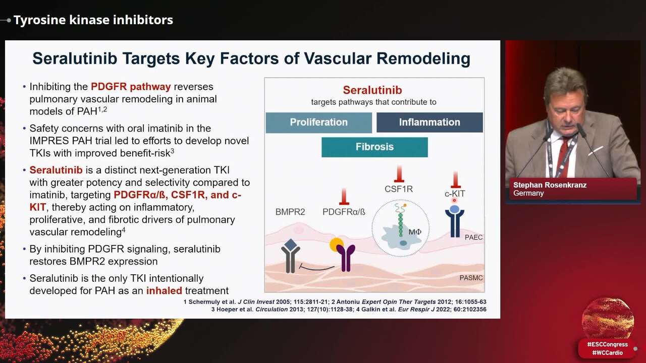 Tyrosine kinase inhibitors