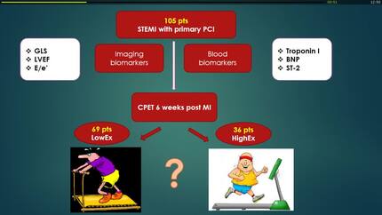 Presentation thumbnail