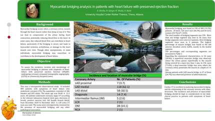 Myocardial bridging analysis in patients with heart failure with preserved ejection fraction 
