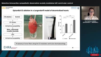 Presentation thumbnail
