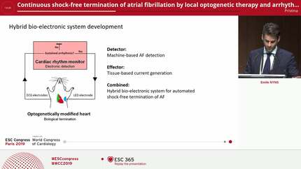 Continuous shock-free termination of atrial fibrillation by local optogenetic therapy and arrhythmia-triggered activation of an implanted light source