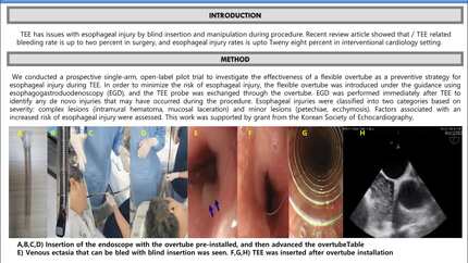 Safety and efficacy of trans esophageal echocardiography using flexible over-tube: multicenter pilot study
