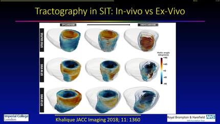 Presentation thumbnail