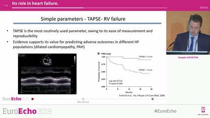 Its role in heart failure.