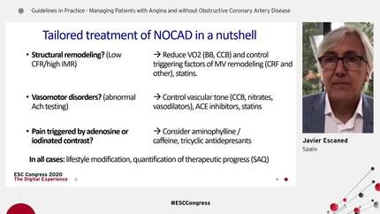 Guidelines in Practice - Managing Patients with Angina and without Obstructive Coronary Artery Disease