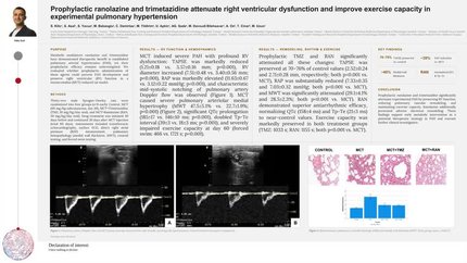 Prophylactic ranolazine and trimetazidine attenuate right ventricular dysfunction and improve exercise capacity in experimental pulmonary hypertension
