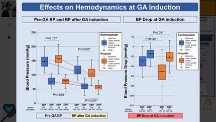 Impact of remimazolam on hemodynamic stability during catheter ablation procedures under general anesthesia
