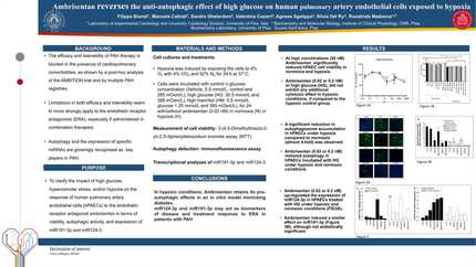 Presentation thumbnail