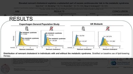 Elevated remnant cholesterol explains a substantial part of excess cardiovascular risk in the metabolic syndrome