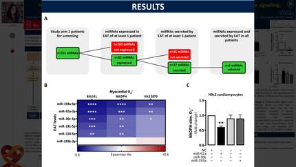 Human epicardial adipose tissue-secreted miR-92a-3p regulates myocardial redox state via paracrine signalling: implications for cardiovascular clinical outcomes