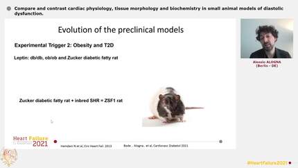 Presentation thumbnail