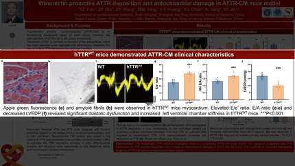Presentation thumbnail