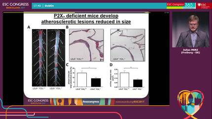The role of the purinergic receptor p2x7 in the pathogenesis of atherosclerosis