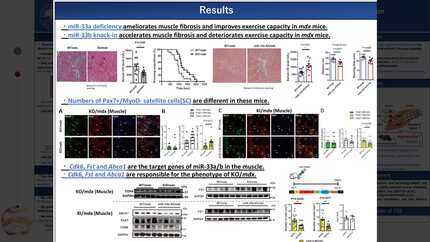 Presentation thumbnail