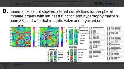 Presentation thumbnail