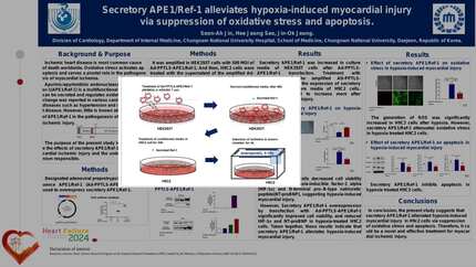 Secretory Apurinic/apyrimidinic endonuclease 1/redox factor-1 alleviates hypoxia-induced myocardial injury by suppression of oxidative stress and apoptosis.