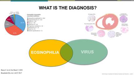 Presentation thumbnail