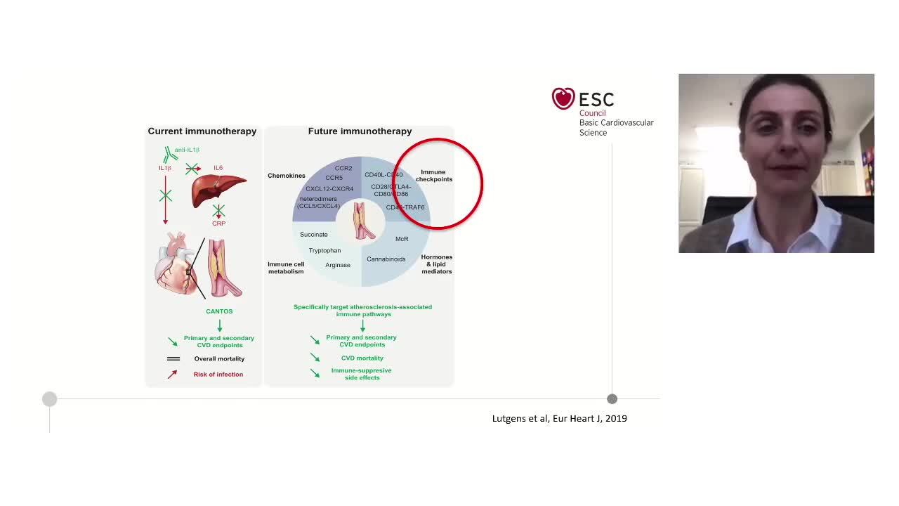 Recent advances in immune pathways in atherosclerosis