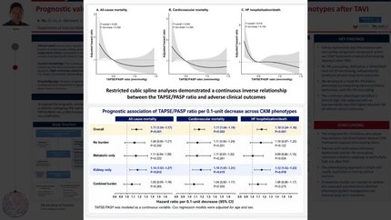 Prognostic value of TAPSE/sPAP ratio across cardiovascular–kidney–metabolic phenotypes after TAVI