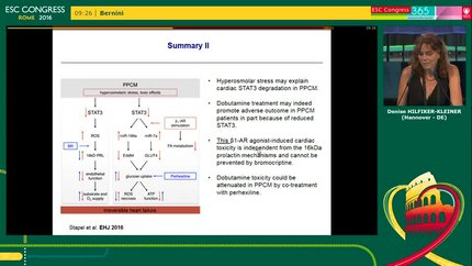 Presentation thumbnail