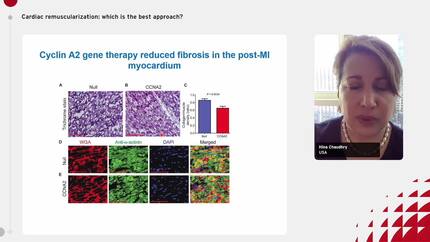 Human pluripotent stem cell cardiomyocyte/patch therapy.