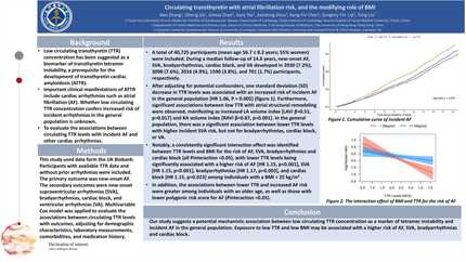 Circulating transthyretin with atrial fibrillation risk, and the modifying role of BMI