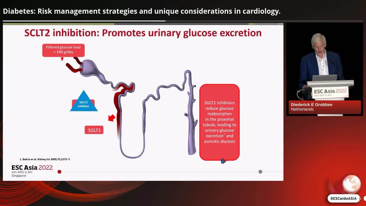 Diabetes: Risk management strategies and unique considerations in cardiology.